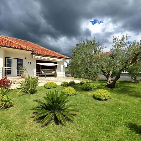 Rose Дом отдыха